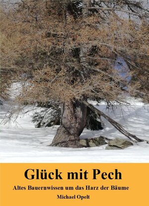 Buchcover Glück mit Pech | Michael Opelt | EAN 9783948811310 | ISBN 3-948811-31-8 | ISBN 978-3-948811-31-0