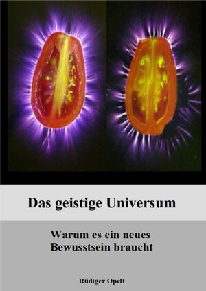 Buchcover Das geistige Universum | Rüdiger Opelt | EAN 9783948811327 | ISBN 3-948811-32-6 | ISBN 978-3-948811-32-7