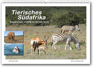 Buchcover Tierisches Südafrika (Wandkalender 2022, A3, quer) | Marion Stubbemann | EAN 9783948998103 | ISBN 3-948998-10-8 | ISBN 978-3-948998-10-3