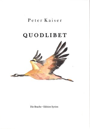 Buchcover QUODLIBET | Peter Kaiser | EAN 9783951976105 | ISBN 3-9519761-0-1 | ISBN 978-3-9519761-0-5