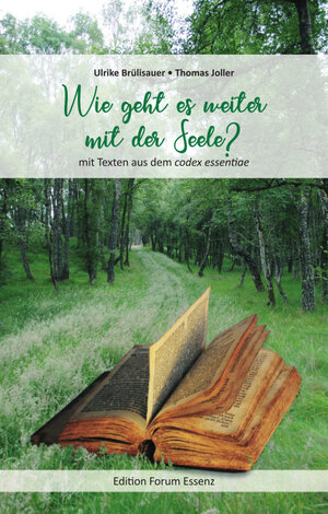 Buchcover Wie geht es weiter mit der Seele? | Ulrike Brülisauer | EAN 9783952371039 | ISBN 3-9523710-3-3 | ISBN 978-3-9523710-3-9
