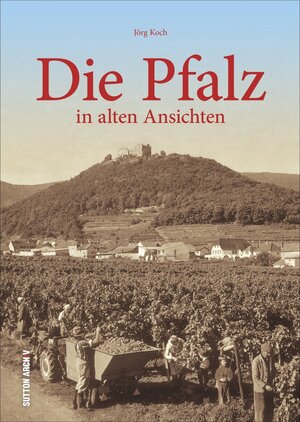 Buchcover Die Pfalz | Jörg Koch | EAN 9783954007509 | ISBN 3-95400-750-9 | ISBN 978-3-95400-750-9