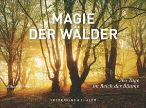 Buchcover Tischaufsteller Magie der Wälder  | EAN 9783954162628 | ISBN 3-95416-262-8 | ISBN 978-3-95416-262-8