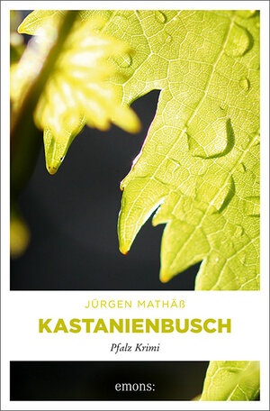 Buchcover Kastanienbusch | Jürgen Mathäß | EAN 9783954513628 | ISBN 3-95451-362-5 | ISBN 978-3-95451-362-8