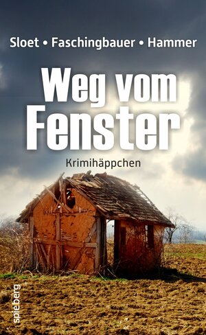 Buchcover Weg vom Fenster | Rolf Peter Sloet | EAN 9783954520992 | ISBN 3-95452-099-0 | ISBN 978-3-95452-099-2