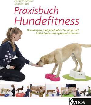 Buchcover Praxisbuch Hundefitness | Carmen Heritier | EAN 9783954641628 | ISBN 3-95464-162-3 | ISBN 978-3-95464-162-8