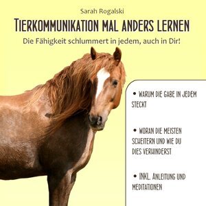 Buchcover Tierkommunikation mal anders lernen | Sarah Rogalski | EAN 9783954710768 | ISBN 3-95471-076-5 | ISBN 978-3-95471-076-8