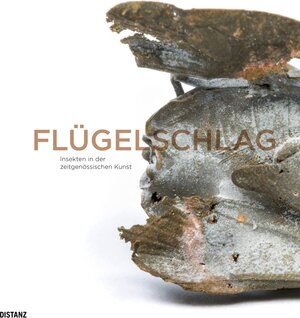 Buchcover Flügelschlag. Insekten in der zeitgenössischen Kunst  | EAN 9783954762934 | ISBN 3-95476-293-5 | ISBN 978-3-95476-293-4