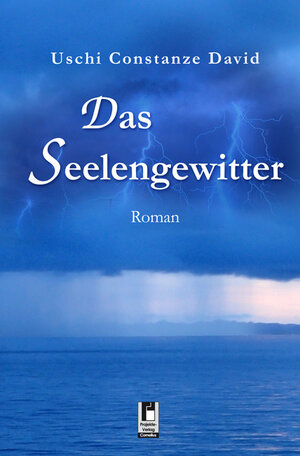 Buchcover Das Seelengewitter | Uschi Constanze David | EAN 9783954863457 | ISBN 3-95486-345-6 | ISBN 978-3-95486-345-7