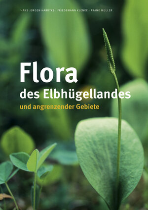 Buchcover Flora des Elbhügellandes und angrenzender Gebiete | Hans-Jürgen Hardtke | EAN 9783954980390 | ISBN 3-95498-039-8 | ISBN 978-3-95498-039-0