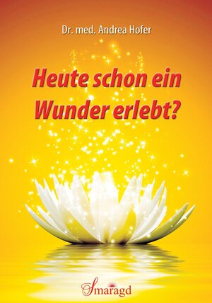 Buchcover Heute schon ein Wunder erlebt? | Andrea Hofer | EAN 9783955311148 | ISBN 3-95531-114-7 | ISBN 978-3-95531-114-8