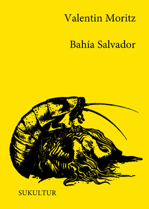 Buchcover Bahía Salvador | Valentin Moritz | EAN 9783955660895 | ISBN 3-95566-089-3 | ISBN 978-3-95566-089-5