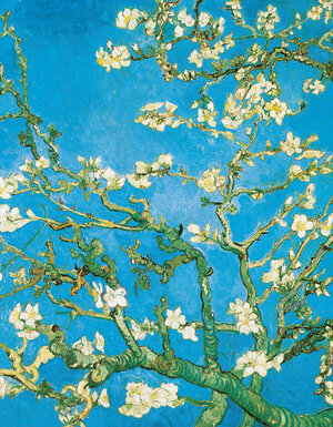 Buchcover Vincent van Gogh - Mandelbaumzweige  | EAN 9783955703103 | ISBN 3-95570-310-X | ISBN 978-3-95570-310-3