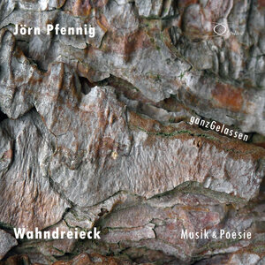 Buchcover Wahndreieck - Musik & Poesie | Jörn Pfennig | EAN 9783956165306 | ISBN 3-95616-530-6 | ISBN 978-3-95616-530-6