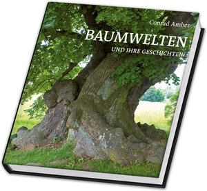 Buchcover Baumwelten und ihre Geschichten | Conrad Amber | EAN 9783956191725 | ISBN 3-95619-172-2 | ISBN 978-3-95619-172-5