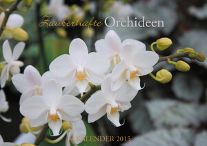 Buchcover Zauberhafte Orchideen | Tabea Jurcek | EAN 9783956480423 | ISBN 3-95648-042-2 | ISBN 978-3-95648-042-3