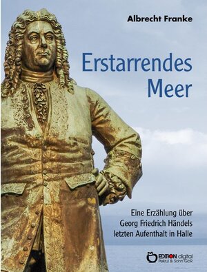 Buchcover Erstarrendes Meer | Albrecht Franke | EAN 9783956556067 | ISBN 3-95655-606-2 | ISBN 978-3-95655-606-7