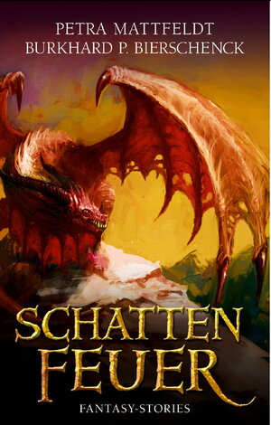 Buchcover Schattenfeuer | Wilfried Abels | EAN 9783956690617 | ISBN 3-95669-061-3 | ISBN 978-3-95669-061-7