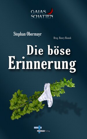 Buchcover Die böse Erinnerung | Stephan Obermayr | EAN 9783956850226 | ISBN 3-95685-022-X | ISBN 978-3-95685-022-6