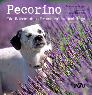 Buchcover Pecorino | Yvonne Lacina | EAN 9783956930256 | ISBN 3-95693-025-8 | ISBN 978-3-95693-025-6