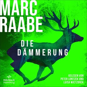 Buchcover Die Dämmerung (Art Mayer-Serie 2) | Marc Raabe | EAN 9783957133137 | ISBN 3-95713-313-0 | ISBN 978-3-95713-313-7