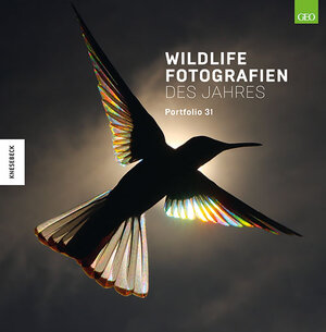 Buchcover Wildlife Fotografien des Jahres – Portfolio 31  | EAN 9783957285089 | ISBN 3-95728-508-9 | ISBN 978-3-95728-508-9