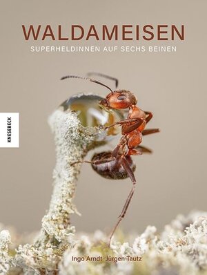 Buchcover Waldameisen | Ingo Arndt | EAN 9783957288400 | ISBN 3-95728-840-1 | ISBN 978-3-95728-840-0