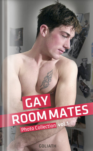 Buchcover Gay RoomMates - Sexy Boys privat Vol.1  | EAN 9783957301178 | ISBN 3-95730-117-3 | ISBN 978-3-95730-117-8