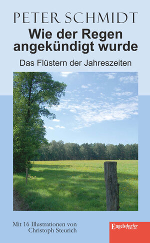 Buchcover Wie der Regen angekündigt wurde | Peter Schmidt | EAN 9783957442109 | ISBN 3-95744-210-9 | ISBN 978-3-95744-210-9