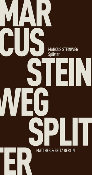 Buchcover Splitter | Marcus Steinweg | EAN 9783957573438 | ISBN 3-95757-343-2 | ISBN 978-3-95757-343-8