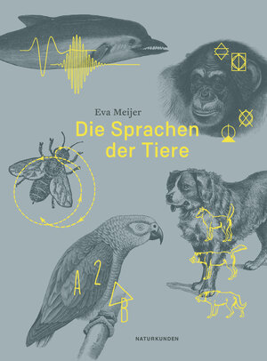 Buchcover Die Sprachen der Tiere | Eva Meijer | EAN 9783957575364 | ISBN 3-95757-536-2 | ISBN 978-3-95757-536-4