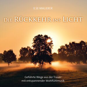Buchcover Die Rückkehr ins Licht | Ilse Mauerer | EAN 9783957663085 | ISBN 3-95766-308-3 | ISBN 978-3-95766-308-5