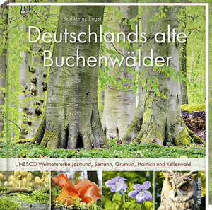 Buchcover Deutschlands alte Buchenwälder | Karl Heinz Engel | EAN 9783957990105 | ISBN 3-95799-010-6 | ISBN 978-3-95799-010-5