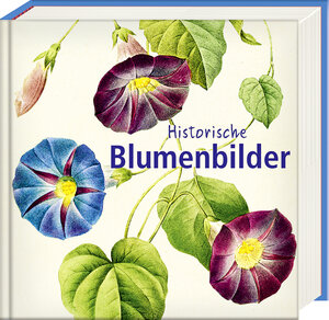 Buchcover Historische Blumenbilder – Book To Go  | EAN 9783957990631 | ISBN 3-95799-063-7 | ISBN 978-3-95799-063-1