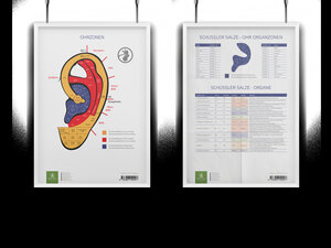 Buchcover AMM & TCM Lehrtafel Ohr | Michael Uhrhan | EAN 9783958040007 | ISBN 3-95804-000-4 | ISBN 978-3-95804-000-7