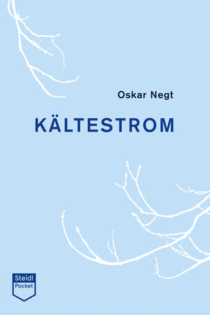 Buchcover Kältestrom | Oskar Negt | EAN 9783958297296 | ISBN 3-95829-729-3 | ISBN 978-3-95829-729-6