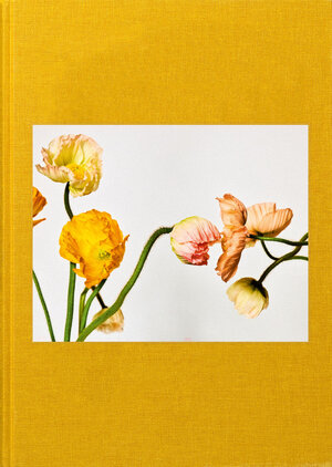 Buchcover Garden of Beauty | Michel Comte | EAN 9783958298590 | ISBN 3-95829-859-1 | ISBN 978-3-95829-859-0