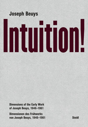 Buchcover Intuition! | Joseph Beuys | EAN 9783958299009 | ISBN 3-95829-900-8 | ISBN 978-3-95829-900-9