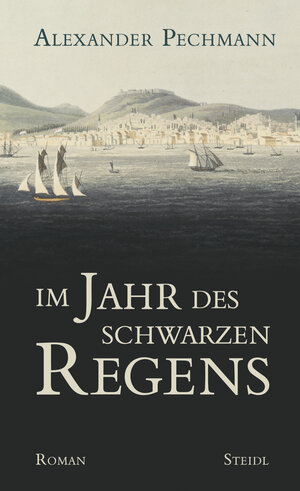 Buchcover Im Jahr des schwarzen Regens | Alexander Pechmann | EAN 9783958299757 | ISBN 3-95829-975-X | ISBN 978-3-95829-975-7