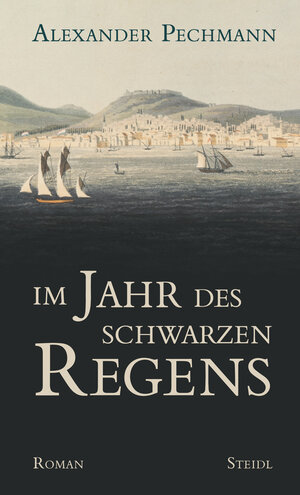 Buchcover Im Jahr des schwarzen Regens | Alexander Pechmann | EAN 9783958299948 | ISBN 3-95829-994-6 | ISBN 978-3-95829-994-8