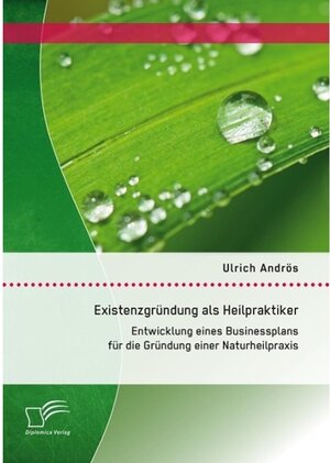 Buchcover Existenzgründung als Heilpraktiker: Entwicklung eines Businessplans für die Gründung einer Naturheilpraxis | Ulrich Andrös | EAN 9783958503823 | ISBN 3-95850-382-9 | ISBN 978-3-95850-382-3