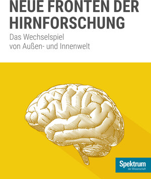 Buchcover Spektrum Spezial - Neue Fronten der Hirnforschung  | EAN 9783958922280 | ISBN 3-95892-228-7 | ISBN 978-3-95892-228-0