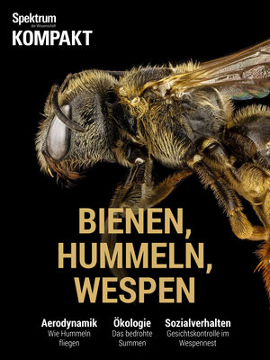 Buchcover Spektrum Kompakt - Bienen, Hummeln, Wespen  | EAN 9783958922396 | ISBN 3-95892-239-2 | ISBN 978-3-95892-239-6