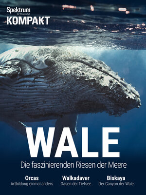 Buchcover Spektrum Kompakt - Wale  | EAN 9783958922464 | ISBN 3-95892-246-5 | ISBN 978-3-95892-246-4