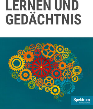 Buchcover Gehirn&Geist - Lernen und Gedächtnis  | EAN 9783958923041 | ISBN 3-95892-304-6 | ISBN 978-3-95892-304-1