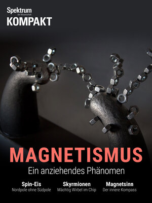 Buchcover Spektrum Kompakt - Magnetismus  | EAN 9783958923621 | ISBN 3-95892-362-3 | ISBN 978-3-95892-362-1