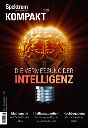 Buchcover Spektrum Kompakt - Die Vermessung der Intelligenz  | EAN 9783958924079 | ISBN 3-95892-407-7 | ISBN 978-3-95892-407-9