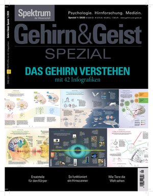 Buchcover GehirnGeist Spezial - Das Gehirn verstehen  | EAN 9783958924376 | ISBN 3-95892-437-9 | ISBN 978-3-95892-437-6