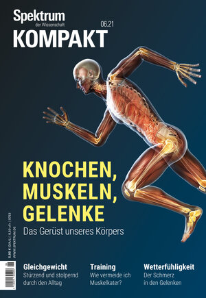 Buchcover Spektrum Kompakt - Knochen, Muskeln, Gelenke  | EAN 9783958925120 | ISBN 3-95892-512-X | ISBN 978-3-95892-512-0