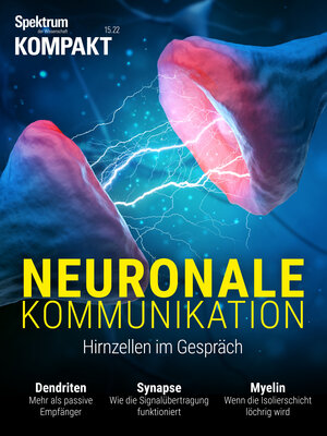 Buchcover Spektrum Kompakt - Neuronale Kommunikation  | EAN 9783958926998 | ISBN 3-95892-699-1 | ISBN 978-3-95892-699-8